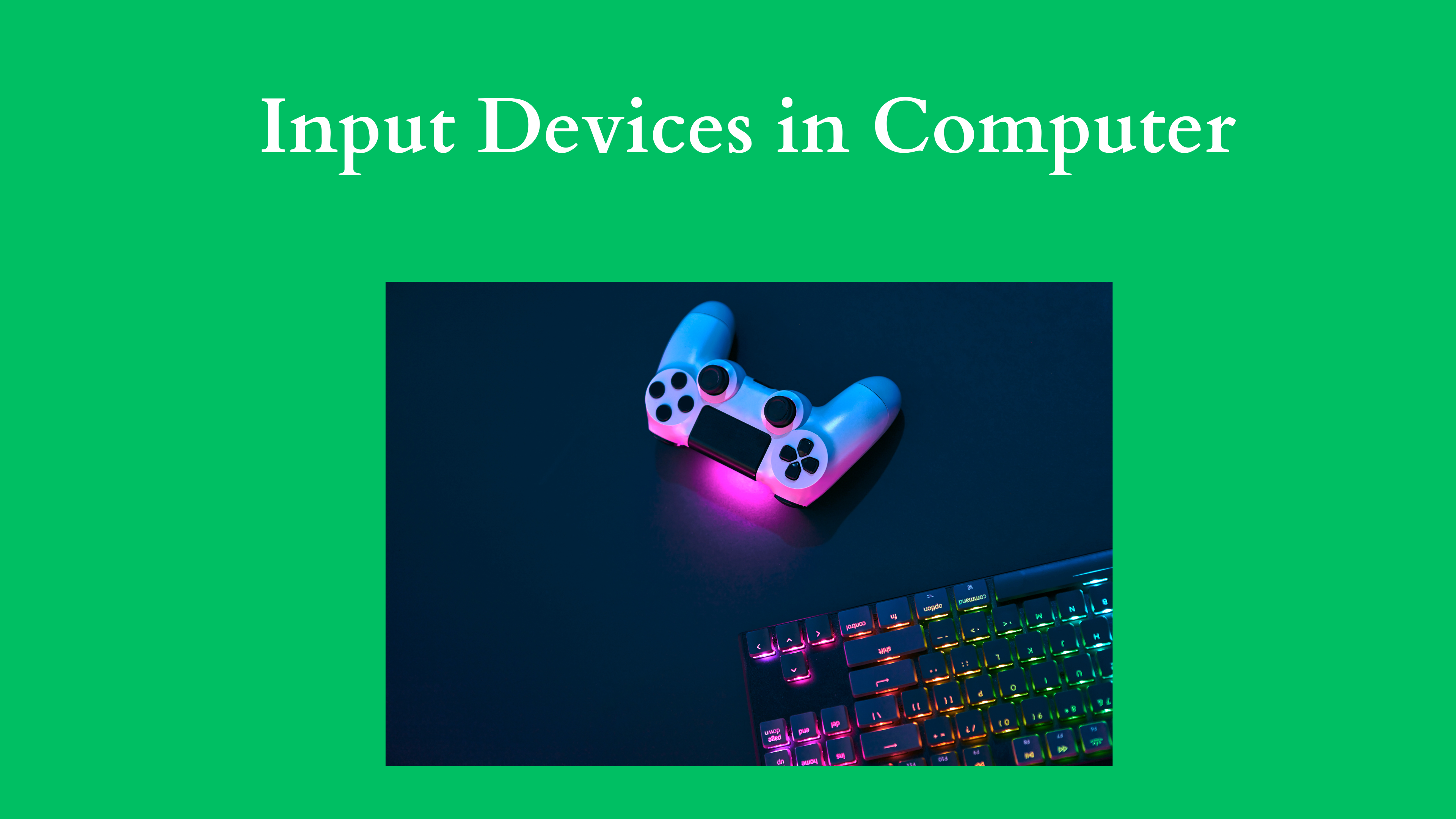 input devices in computer