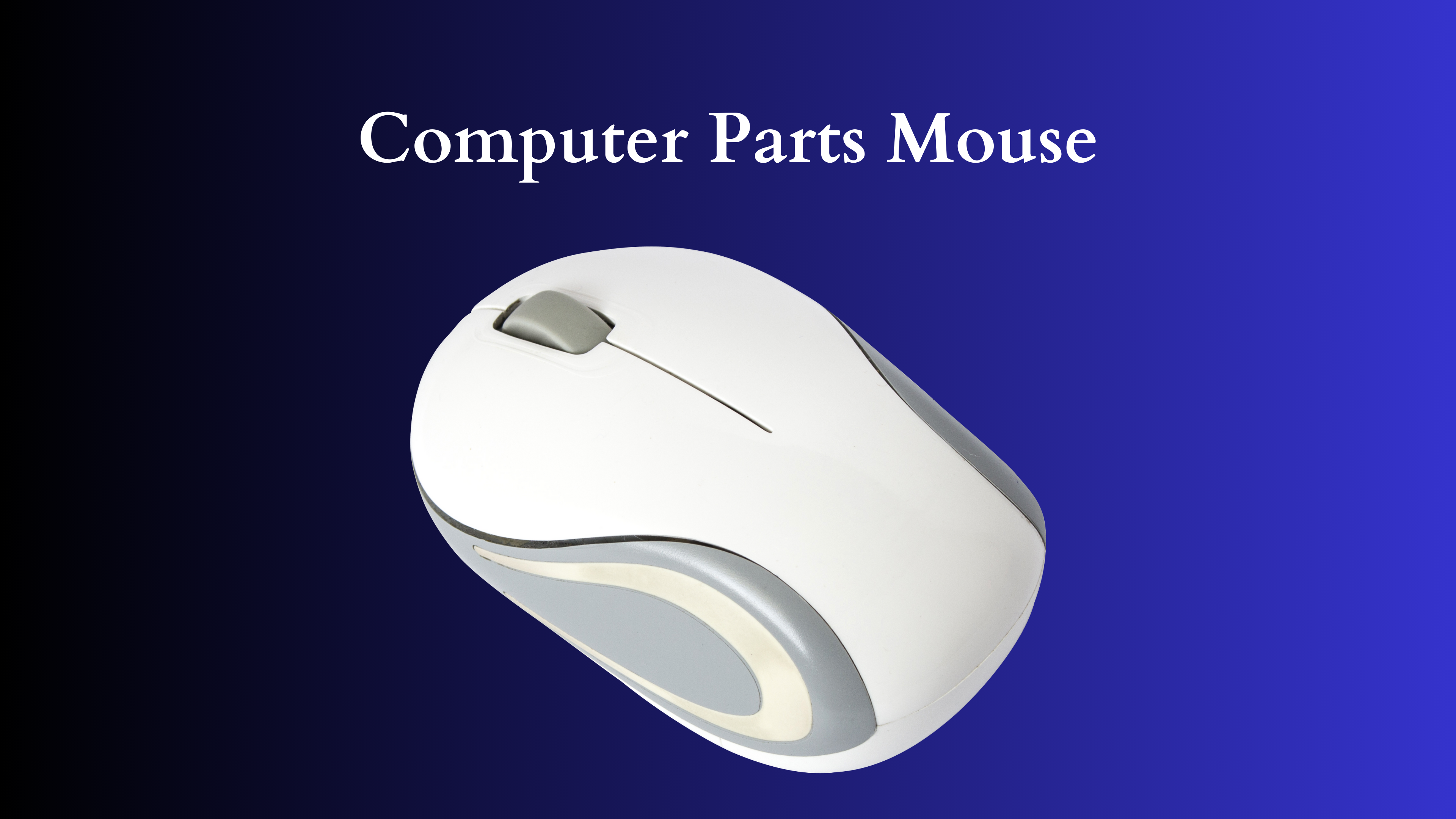 computer parts mouse