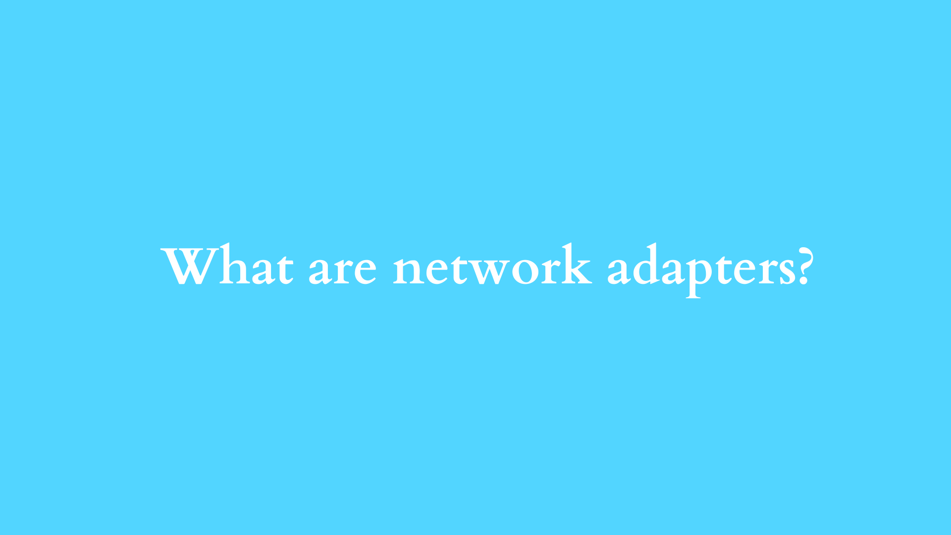 what are network adapters